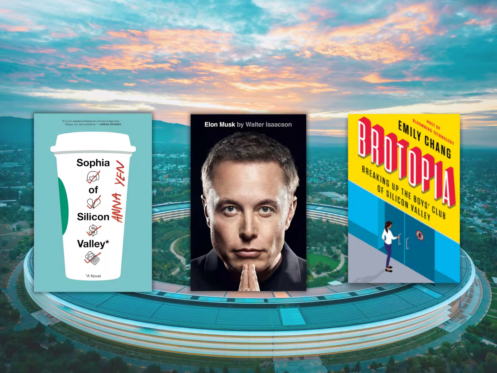 Silicon Valley books
