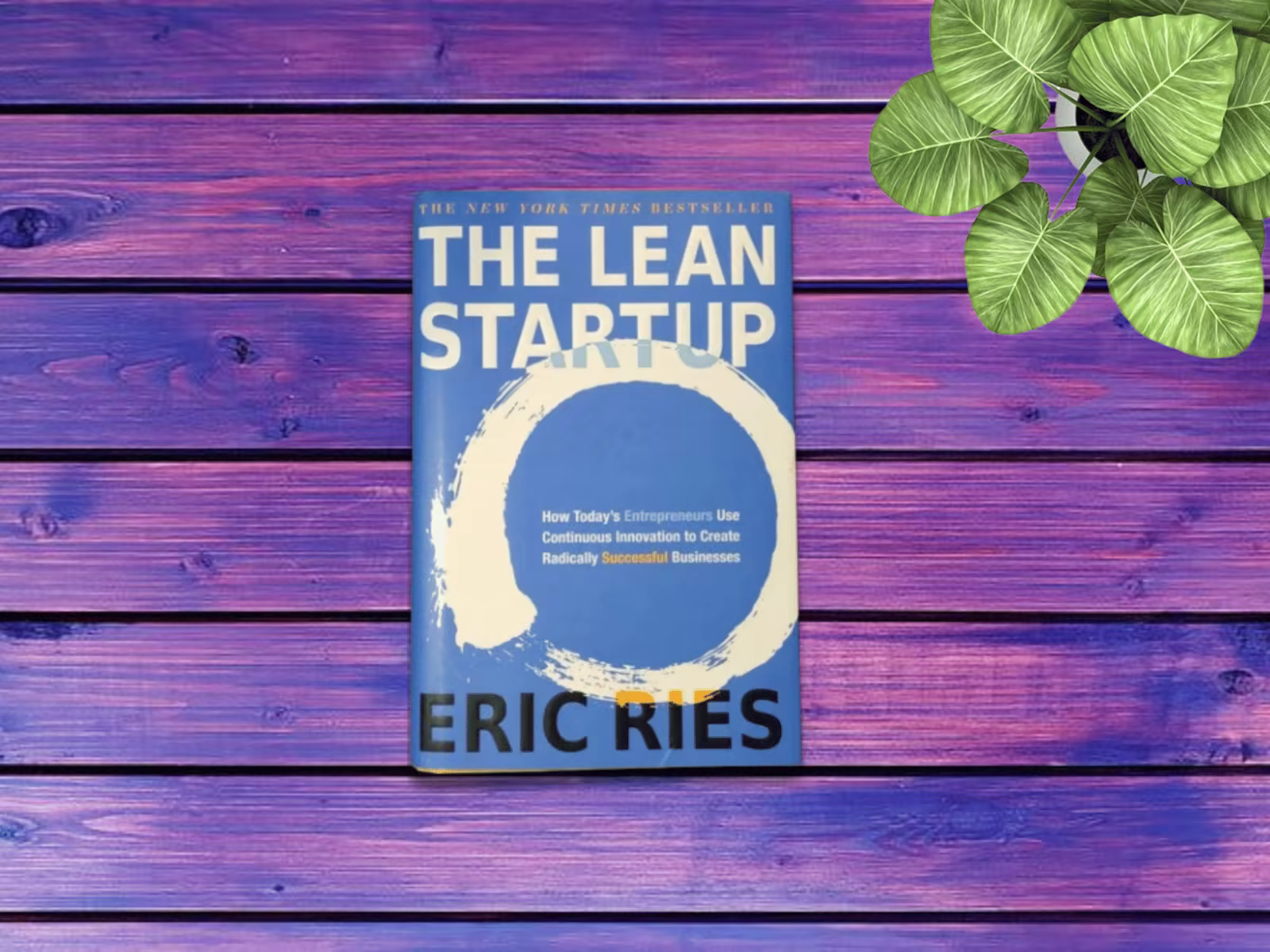 The Lean Startup Book
